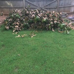 Meet your Posher, Corey